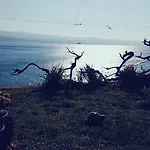 Coko * Omiš