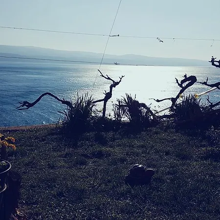Coko * Omiš