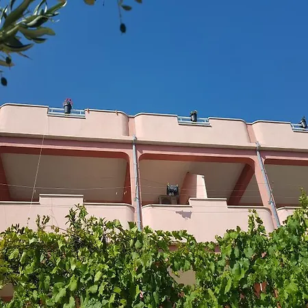 Coko אומיס